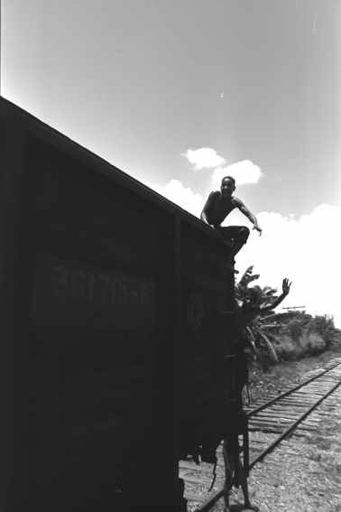 cuba12.jpg (10322 Byte)