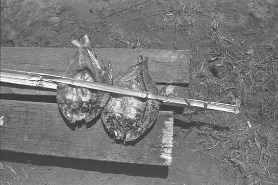 laos4.jpg (26327 Byte)